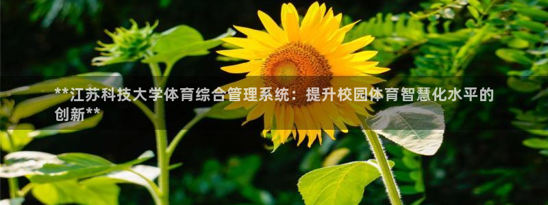 必一体育怎么下载：*