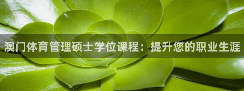 必一体育没了：澳门体