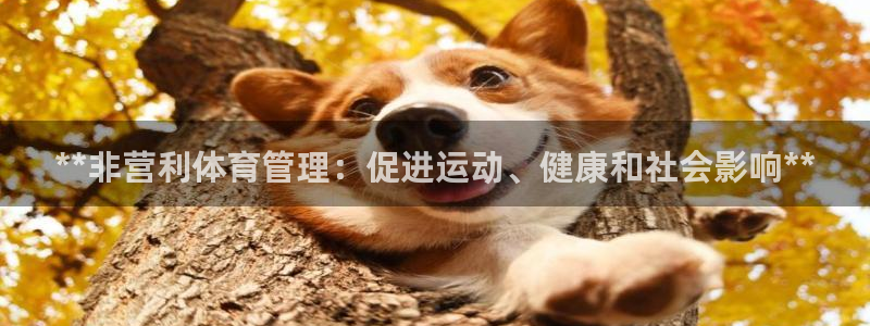 必一体育官网app：