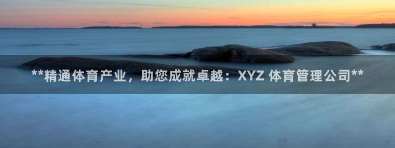 必一体育网站：**精