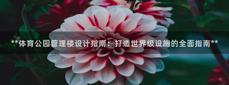 必一体育下载登入：*