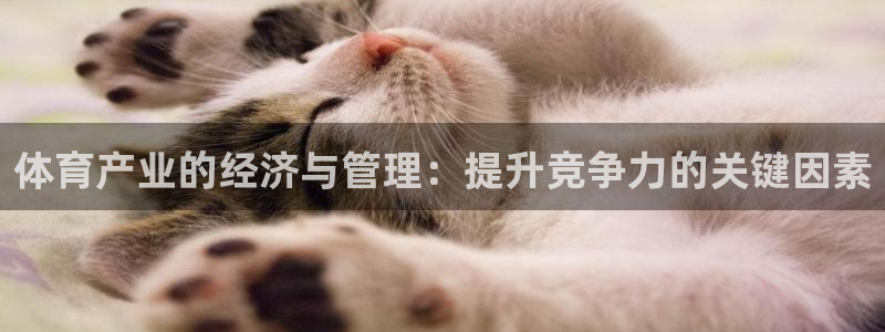 必一运动官网装机吧：