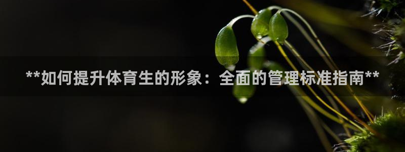 必一体育登录APP下