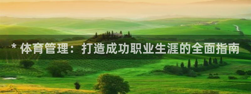 必一体育sportB