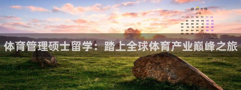 必一体育下载app：