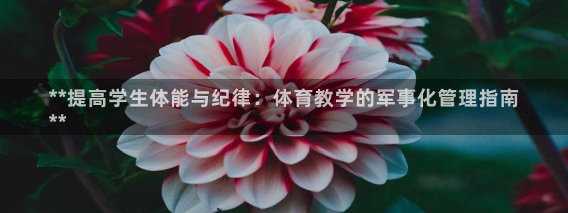 必一运动听的歌：**