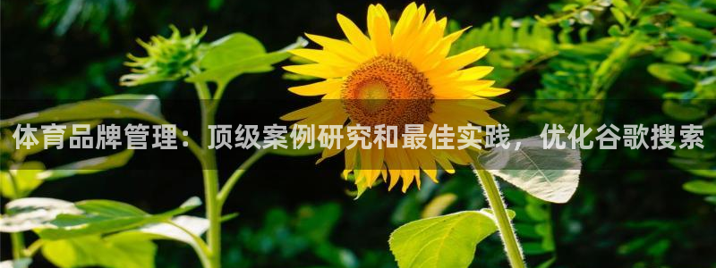 必一体育app下载安
