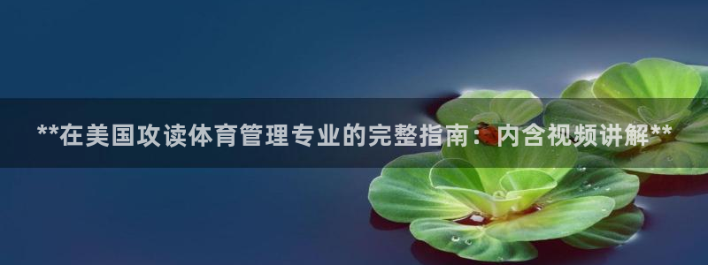 必一体育是哪里的台子