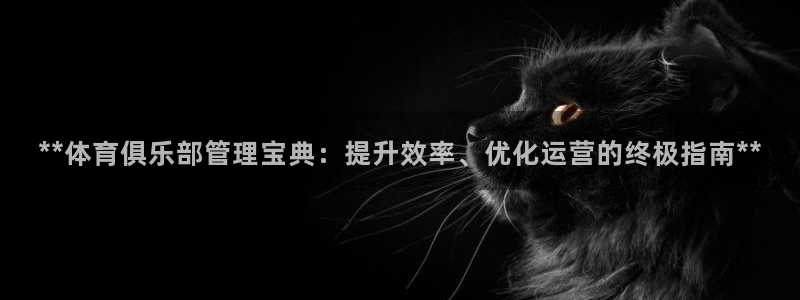 必一体育官网入口：*