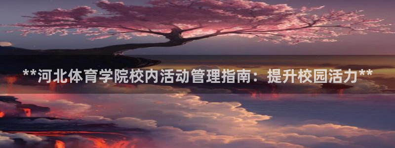 必一体育没了：**河