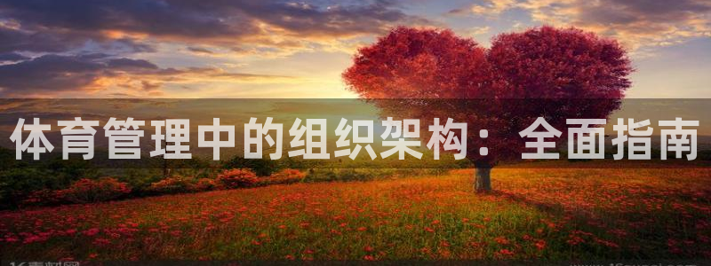 必一体育运动下载：体