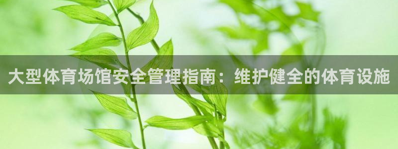 必一体育官方下载入口