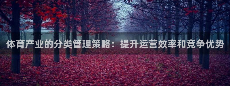 必一体育手机下载：体