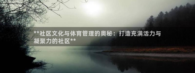 必一体育运动下载：*