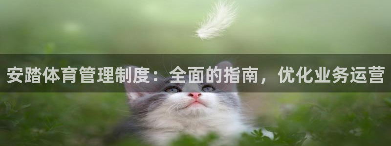 必一体育app官方下