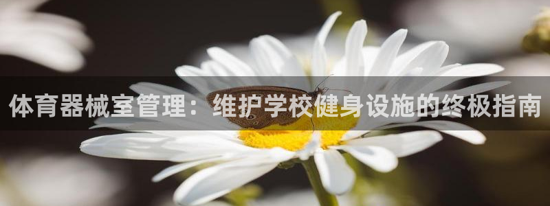 必一体育sportB