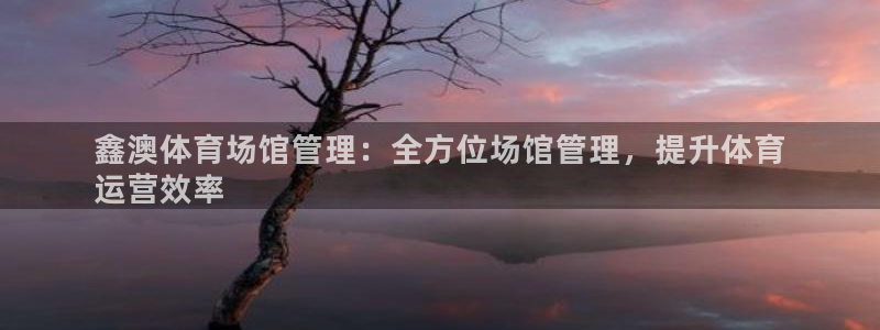 必一体育网页版登录：