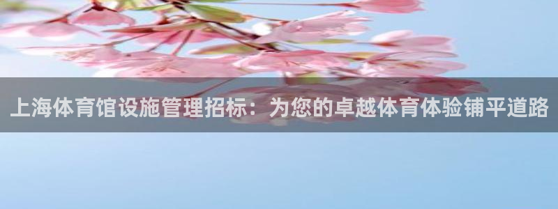 必一体育bsport