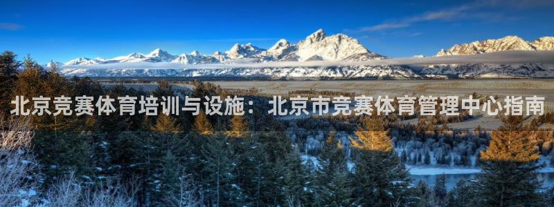 必一体育app下载：