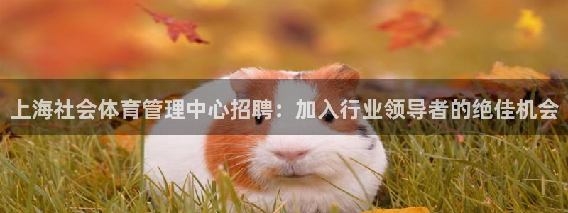 必一运动：上海社会体