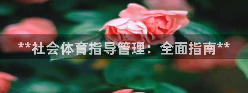 必一体育官方下载入口
