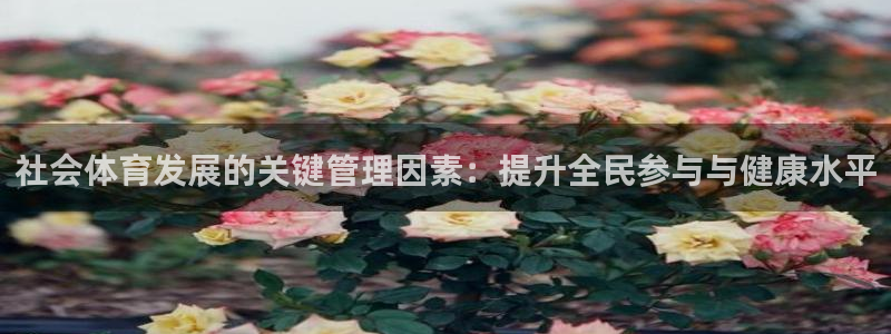 必一体育旧版：社会体