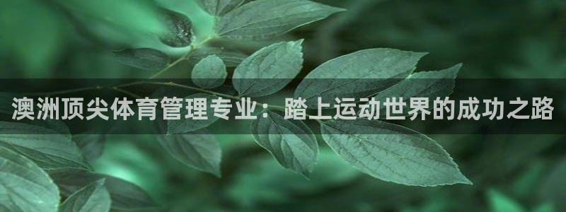 必一体育网页：澳洲顶