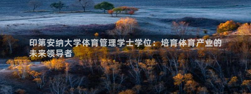 必一体育官方网站入口