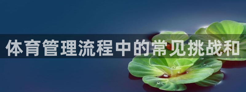 必一体育登录APP下