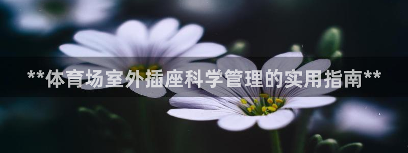 必一体育APP：**