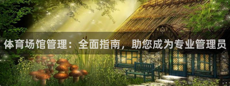 必一体育网址：体育场