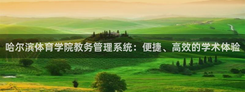 必一体育app官方网