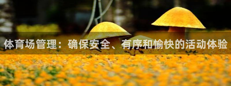 必一运动官网：体育场