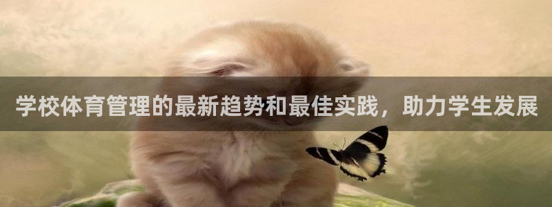 必一体育运动app：