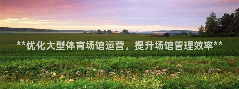 必一体育APP：**