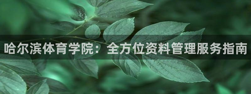 必一体育运动app：