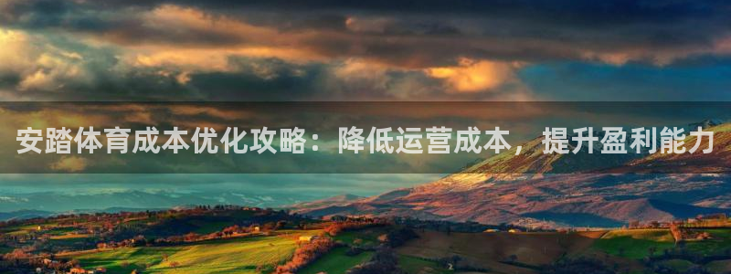 必一运动 b 体育素