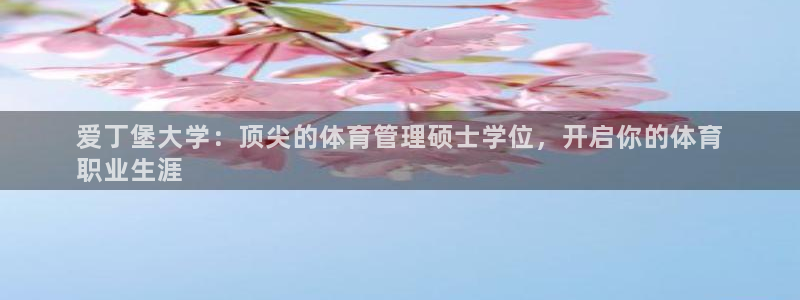 必一体育bsport