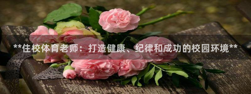 必一体育秀给网：**