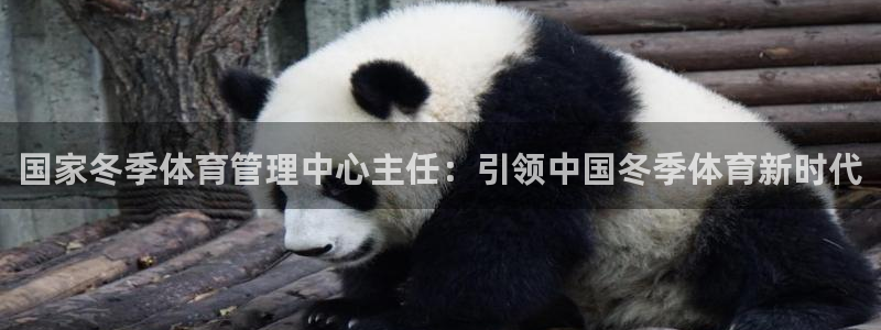 必一体育是哪里的台子