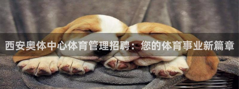 必一体育app下载安