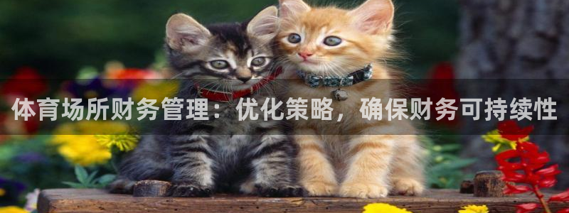 必一运动体育app：