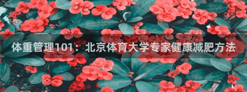 必一体育全站在线登录