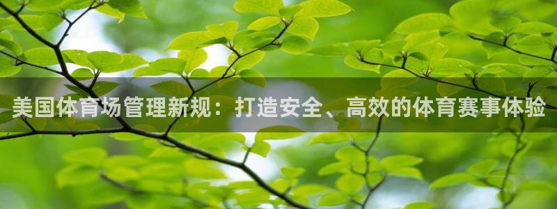 必一体育官网网站：美