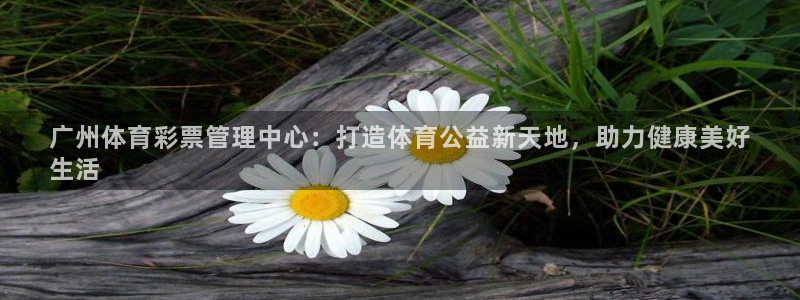 必一体育最新官网入口