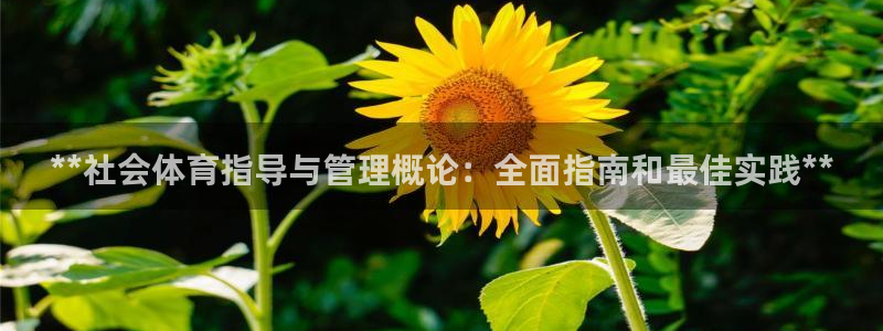 必一体育平台：**社