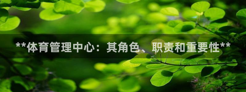 必一体育怎么下载：*