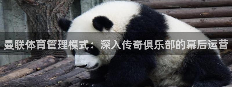 必一体育在线下载：曼