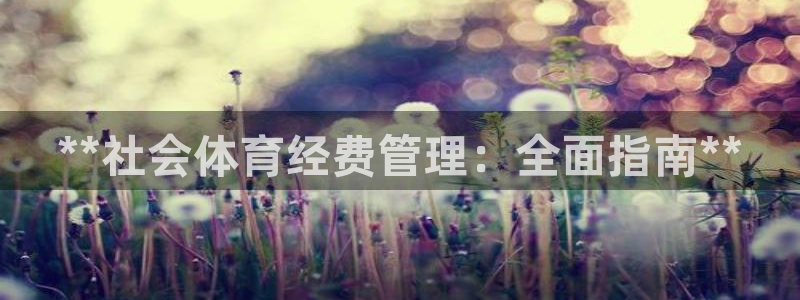 必一运动体：**社会