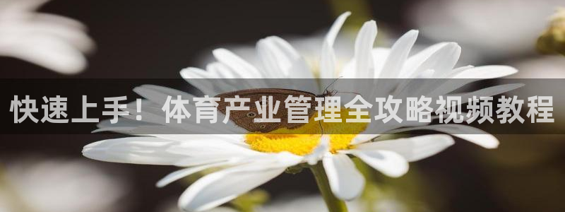 必一体育下载移动版：